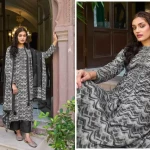 Pashmina Printed Suit Fabric  (Unstitched)