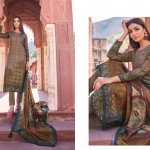 Viscos pashmina digital print Suit with work